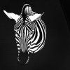 Damsky-holovy-destnik-menici-barvu-ZEBRA-COLORMAGIC-detail-zebry-napul-mokry